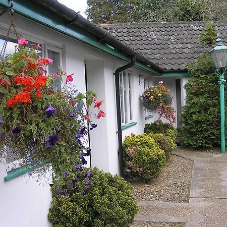 The Willow House Watton Екстер'єр фото