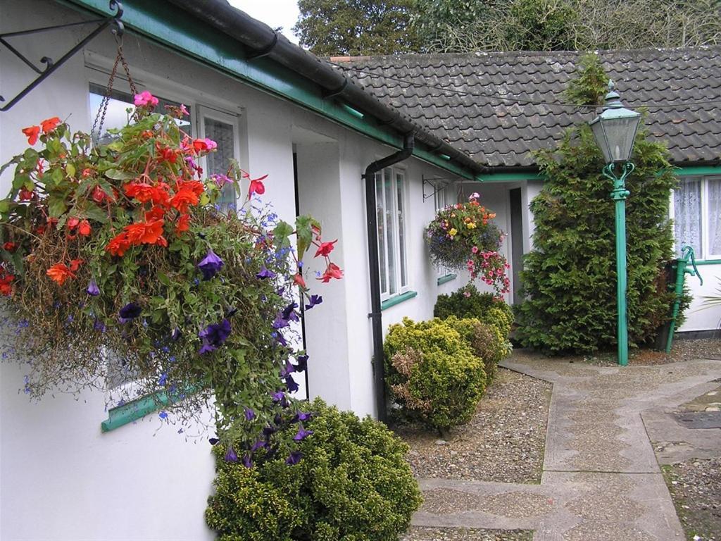 The Willow House Watton Екстер'єр фото